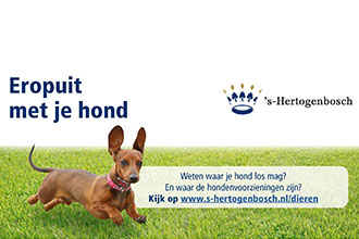 Erop uit met je hond preview